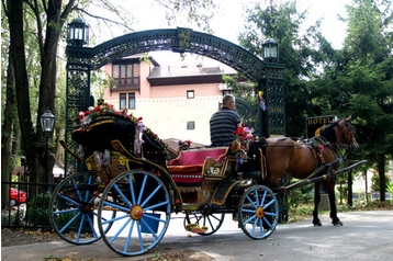 Bosnija ir Hercogovina Hotel Sarajevas / Sarajevo, Eksterjeras