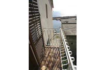 Horvātija Byt Drašnice, Eksterjers