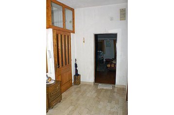 Horvātija Byt Drašnice, Eksterjers