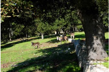 Италия Hotel Alberobello, Екстериор