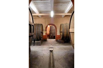 Italia Penzión Collesalvetti, Esterno