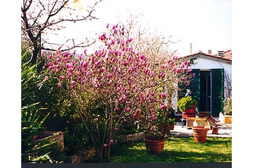 Itálie Chata Portoferraio, Exteriér