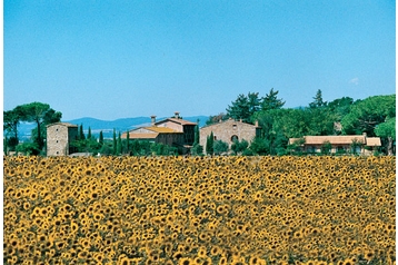 Italia Penzión Scarlino, Exteriorul