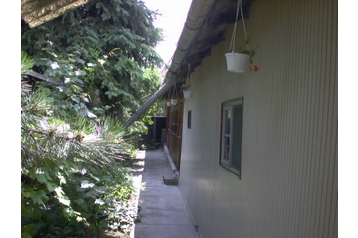 Hungrie Chata Gyomaendrőd, Extérieur