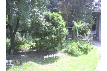 Hungrie Chata Gyomaendrőd, Extérieur