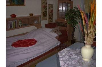 Hungrie Chata Gyomaendrőd, Extérieur