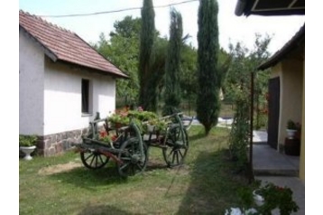 Ungarn Privát Parád, Eksteriør