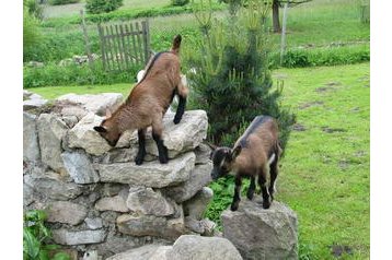 Чехия Byt Světlá, Екстериор