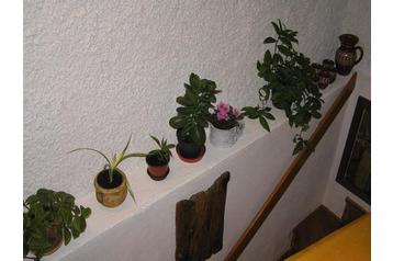 Czech Republic Chata Plavy, Exterior