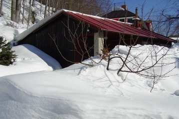 Češka Chata Desná, Eksterijer