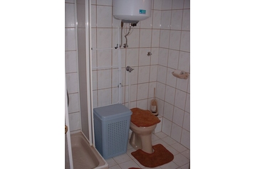 Ungari Privát Kehidakustány, Eksterjöör