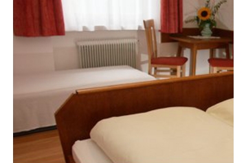 Austria Penzión Niedernsill, Exterior