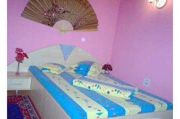 Румыния Penzión Arad, Экстерьер