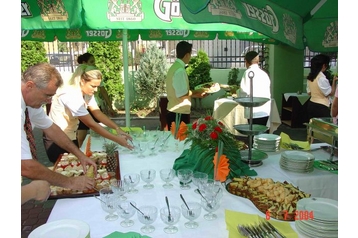 Румъния Hotel Arad, Екстериор