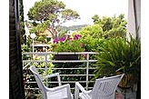 Apartamento Cavtat Croacia