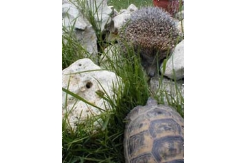 Bułgaria Chata Velika, Zewnątrz