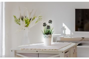 Horvaatia Privát Pula, Eksterjöör