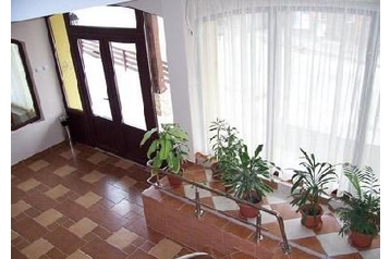 Romania Penzión Putna, Eksteriør