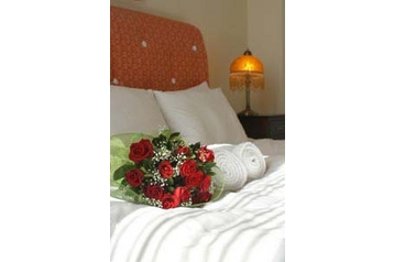 Greece Hotel Athens / Athina, Exterior