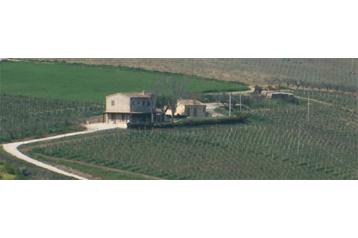 Hôtel Silvi 5