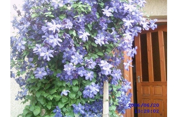 Ungarn Privát Mátraderecske, Eksteriør