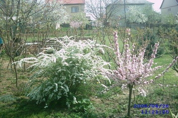 Ungarn Privát Mátraderecske, Eksteriør