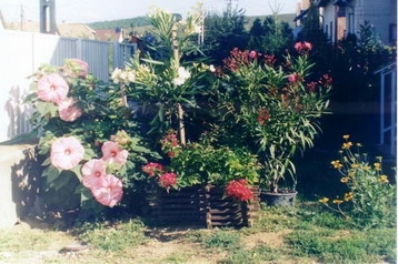 Ungarn Privát Mátraderecske, Eksteriør