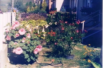 Maďarsko Privát Mátraderecske, Exteriér