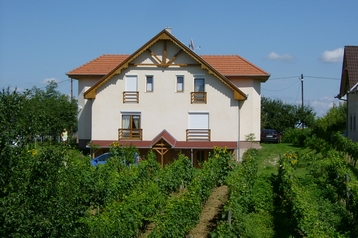 Ungari Privát Zalakaros, Eksterjöör