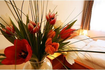 Tchéquie Byt Prague / Praha, Extérieur