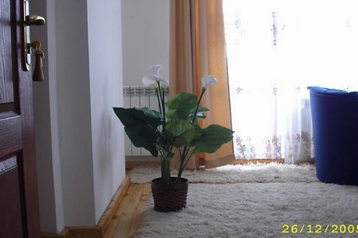 Apartmán Bansko 4