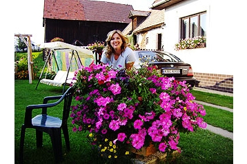 Slovakia Privát Vrbov, Eksteriør