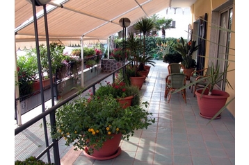 Отель Otranto 8