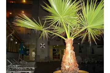 Bulgarije Hotel Zonnestrand / Slanchev bryag, Exterieur