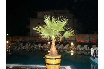 Bulgarije Hotel Zonnestrand / Slanchev bryag, Exterieur