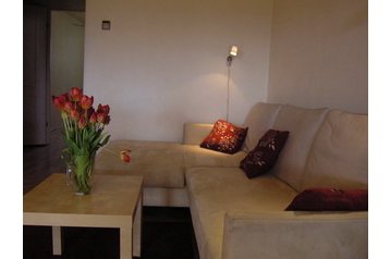 Polija Byt Krakova / Kraków, Eksterjers