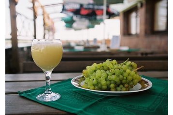 Čehija Hotel Hodonín, Eksterjers