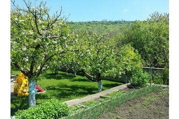 Bułgaria Byt Bałczik / Balchik, Zewnątrz