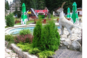 Хотел Borovec 11