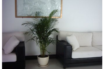 Bulgarie Hotel Kiten, Extérieur