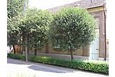 Apartaments Gyula Ungārija