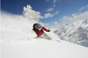 Австрия Hotel Jenig, Екстериор