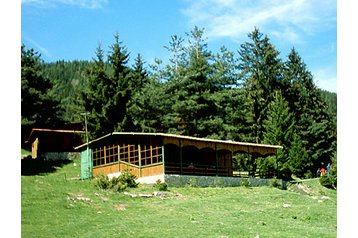 Hotel Sarnica 6