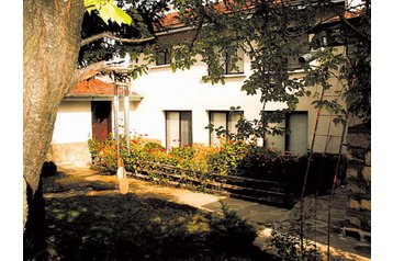 Bulgaria Hotel Bozhichen, Exteriorul