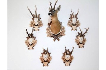 Szlovákia Byt Dóval / Donovaly, Exteriőr