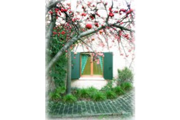 Italija Byt Venecija / Venezia, Eksterijer