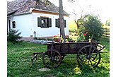 Cottage Súr Hungary