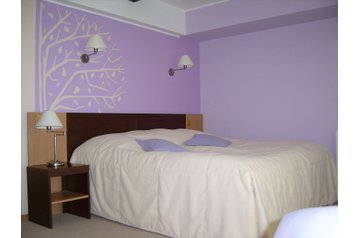 Hotel Bran 4