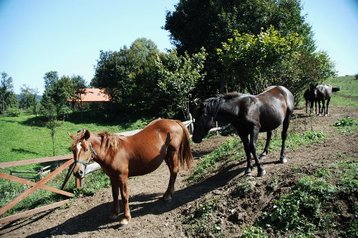Chorvatsko Hotel Rakovica, Exteriér