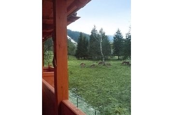 Poola Privát Zakopane, Eksterjöör